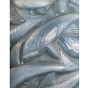 Vase « Salmonides » verre opalescent patiné gris de René LALIQUE | Biron Vase "Salmonides" verre opalescent patiné gris de René LALIQUE