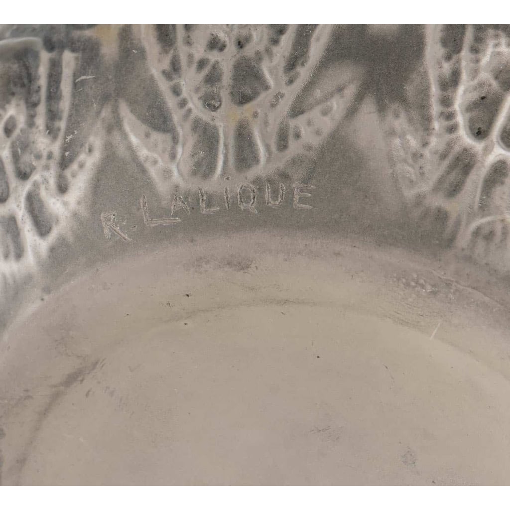 Vase « Fougères » verre blanc patiné gris de René LALIQUE | Biron Vase "Fougères" verre blanc patiné gris de René LALIQUE