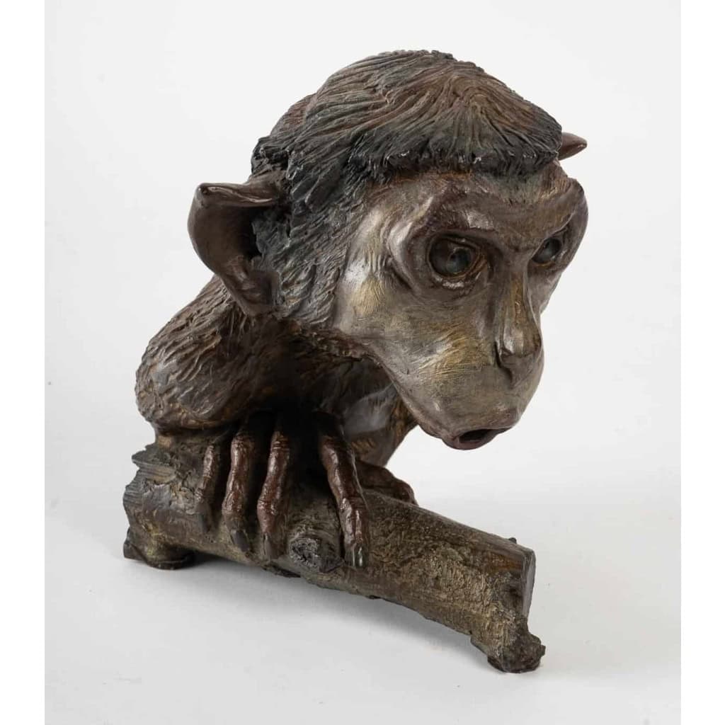 Sculpture en bronze représentant un singe accroché à une branche signé Tassel (4/8) | Biron |||||||||