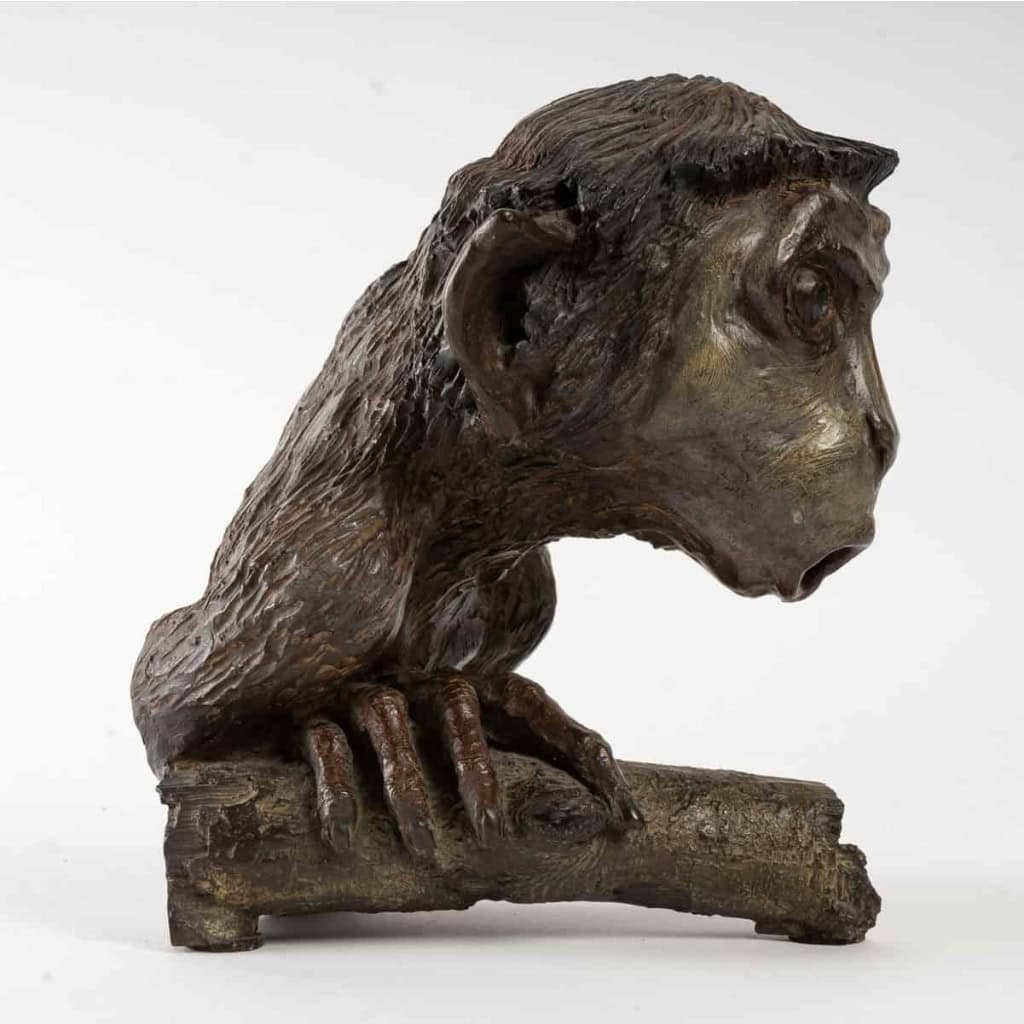 Sculpture en bronze représentant un singe accroché à une branche signé Tassel (4/8) | Biron Sculpture en bronze représentant un singe accroché à une branche signé Tassel (4/8)
