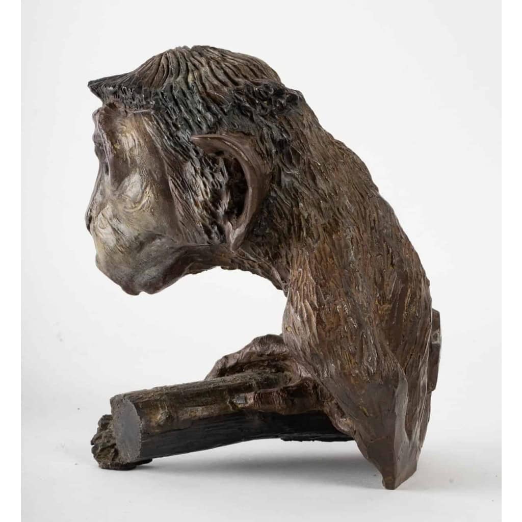 Sculpture en bronze représentant un singe accroché à une branche signé Tassel (4/8) | Biron Sculpture en bronze représentant un singe accroché à une branche signé Tassel (4/8)