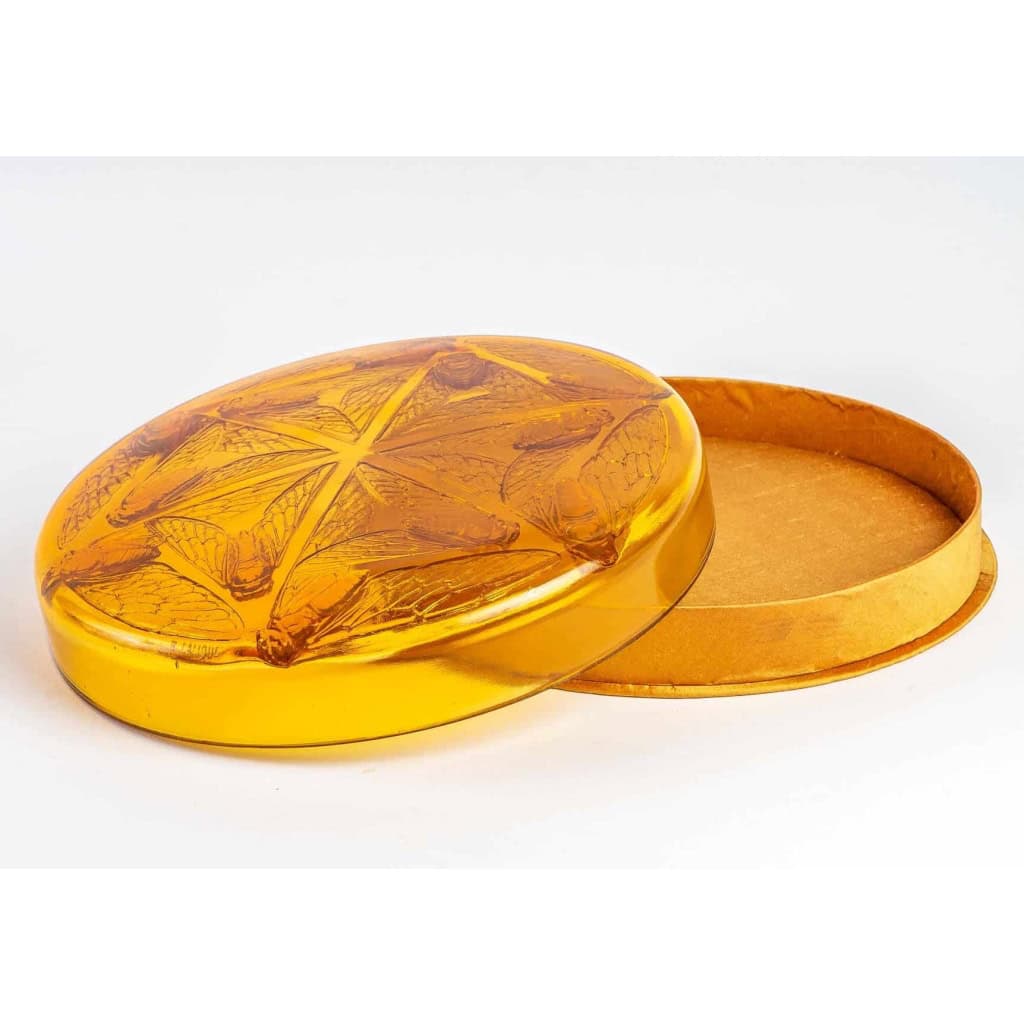 Boîte « Cigales » verre orange – base satin orange de René LALIQUE | Biron ||||||