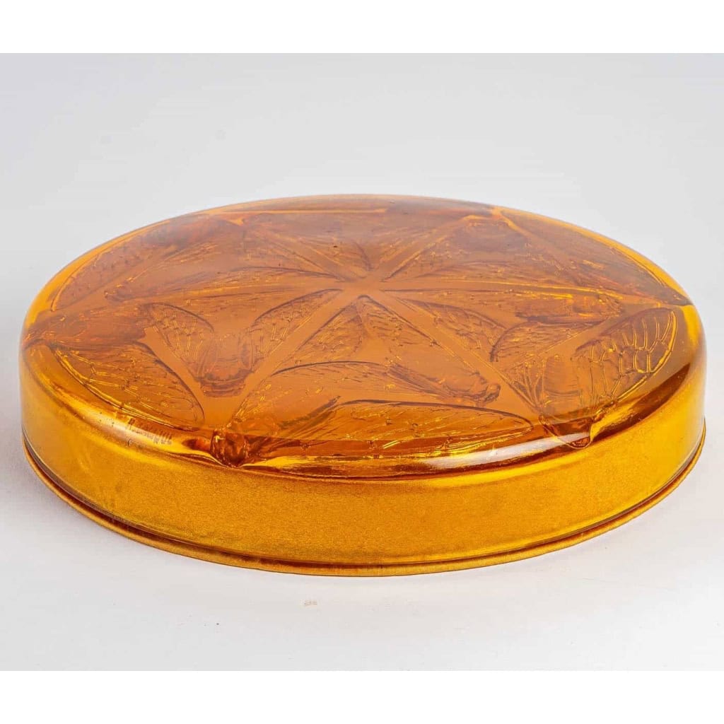 Boîte « Cigales » verre orange – base satin orange de René LALIQUE | Biron Boîte « Cigales » verre orange - base satin orange de René LALIQUE