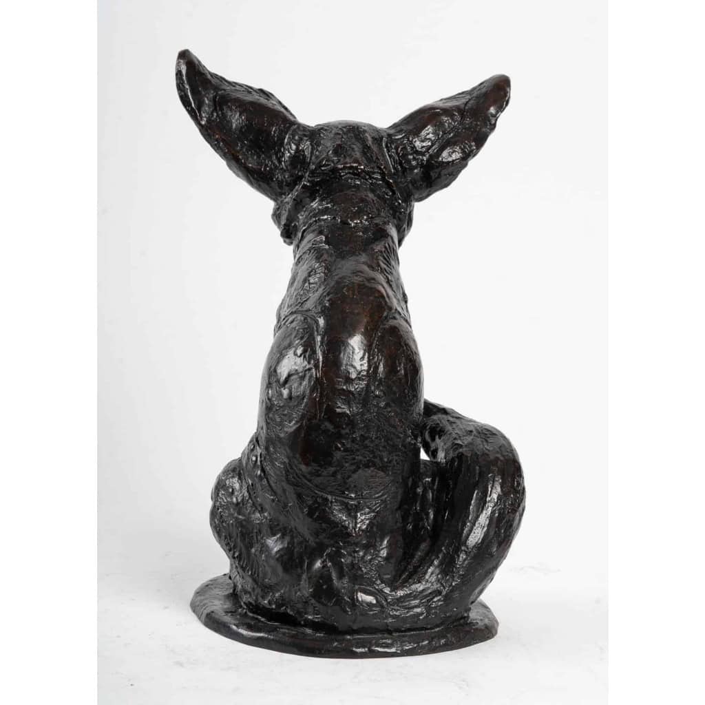 Le fennec