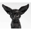 Le fennec