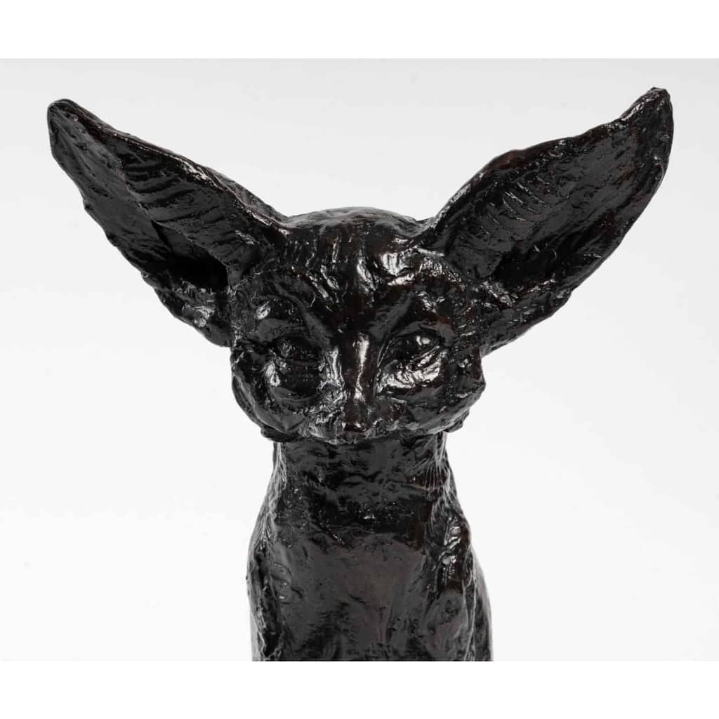Le fennec