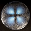 Assiette Plat « Coquilles » verre opalescent de René LALIQUE | Biron Assiette Plat "Coquilles" verre opalescent de René LALIQUE