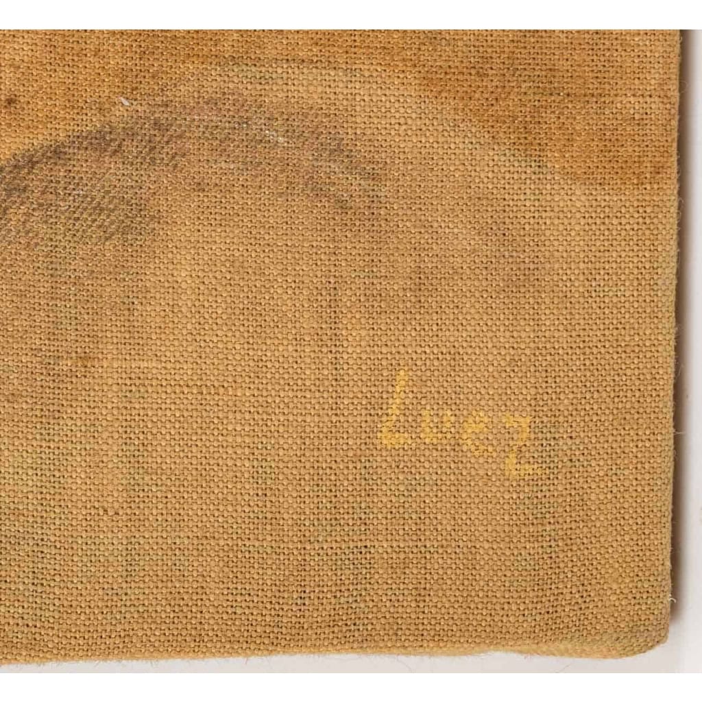 Nue , huile sur toile , XXème siècle | Biron Nue , huile sur toile , XXème siècle