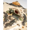 Coupe Coquillage, XXème siècle | Biron Coupe Coquillage, XXème siècle