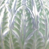 Vase « Malesherbes » verre opalescent double couche patiné vert de René LALIQUE | Biron Vase "Malesherbes" verre opalescent double couche patiné vert de René LALIQUE