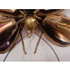 1970′ Applique Papillon Duval Brasseur Ou Isabelle Faure Avec Ailes En Agates Bleues 43 X H 37 CM | Biron 1970′ Applique Papillon Duval Brasseur Ou Isabelle Faure Avec Ailes En Agates Bleues 43 X H 37 CM