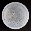 Boîte « Gui » verre opalescent de René LALIQUE | Biron Boîte "Gui" verre opalescent de René LALIQUE