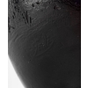 Vase de Gallé, 1900