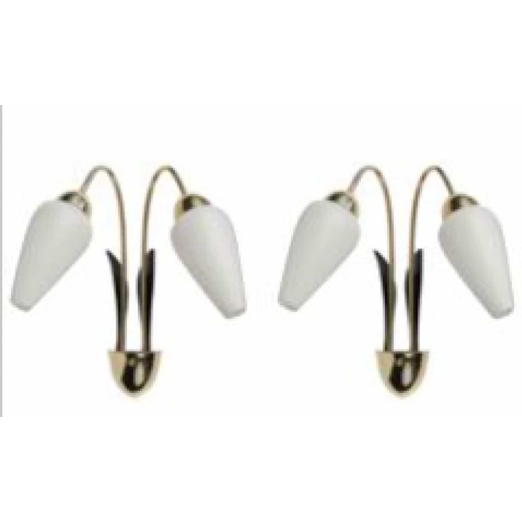 Paire d’Appliques Maison Lunel 1950. | Biron ||||||