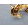 1970′ Table Basse Au Papillon Avec Ailes En Agates Dans Le Style De Duval Brasseur | Biron 1970′ Table Basse Au Papillon Avec Ailes En Agates Dans Le Style De Duval Brasseur
