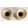 Paire de vase en céramique du Japon époque Meiji | Biron Paire de vase en céramique du Japon époque Meiji