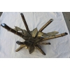 1950/70′ Table Décor Bambou en Bronze Style Duval Brasseur Éclairante
