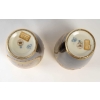 Paire de vases Bleu Sèvres signés. Fin XIXème | Biron Paire de vases Bleu Sèvres signés. Fin XIXème