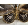 1970′ Applique Papillon en Bronze ou Laiton, 4 Ampoules, Ailes d’Agate : 58X H37 cm | Biron 1970′ Applique Papillon en Bronze ou Laiton, 4 Ampoules, Ailes d’Agate : 58X H37 cm