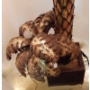 1970′ Palmier 2 Têtes Éclairantes en Fer Patiné Style Maison Jansen