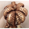 1970′ Palmier 2 Têtes Éclairantes en Fer Patiné Style Maison Jansen