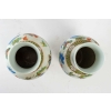 Paire de vases en porcelaine à décors de papillon, chênes | Biron Paire de vases en porcelaine à décors de papillon, chênes