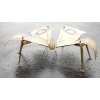 1970′ Table Basse Papillon Éclairante DLG de Duval Brasseur ou Isabelle Faure Pour Honoré de Paris 125 X 80 cm | Biron 1970′ Table Basse Papillon Éclairante DLG de Duval Brasseur ou Isabelle Faure Pour Honoré de Paris 125 X 80 cm