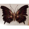 1970′ Applique Ou Plafonnier Papillon Éclairante Style Duval Brasseur ou Isabelle Faure Pour Honoré de Paris, Envergure | Biron ||||||||