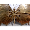 1970′ Applique Ou Plafonnier Papillon Éclairante Style Duval Brasseur ou Isabelle Faure Pour Honoré de Paris, Envergure | Biron 1970′ Applique Ou Plafonnier Papillon Éclairante Style Duval Brasseur ou Isabelle Faure Pour Honoré de Paris, Envergure