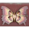 1970′ Applique Ou Plafonnier Papillon Éclairante Style Duval Brasseur ou Isabelle Faure Pour Honoré de Paris, Envergure | Biron 1970′ Applique Ou Plafonnier Papillon Éclairante Style Duval Brasseur ou Isabelle Faure Pour Honoré de Paris, Envergure