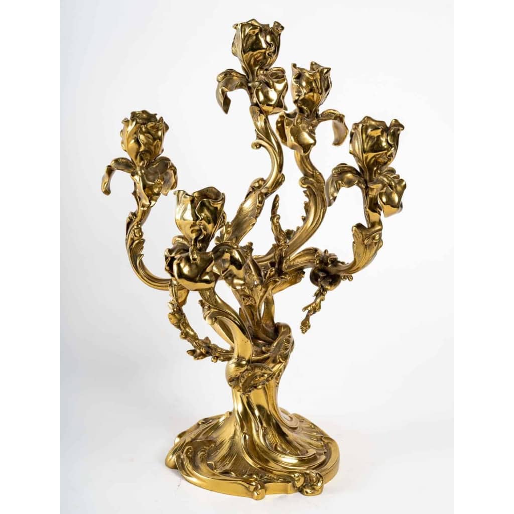 Paire de chandeliers en bronze Iris, style Art nouveau | Biron |||||||