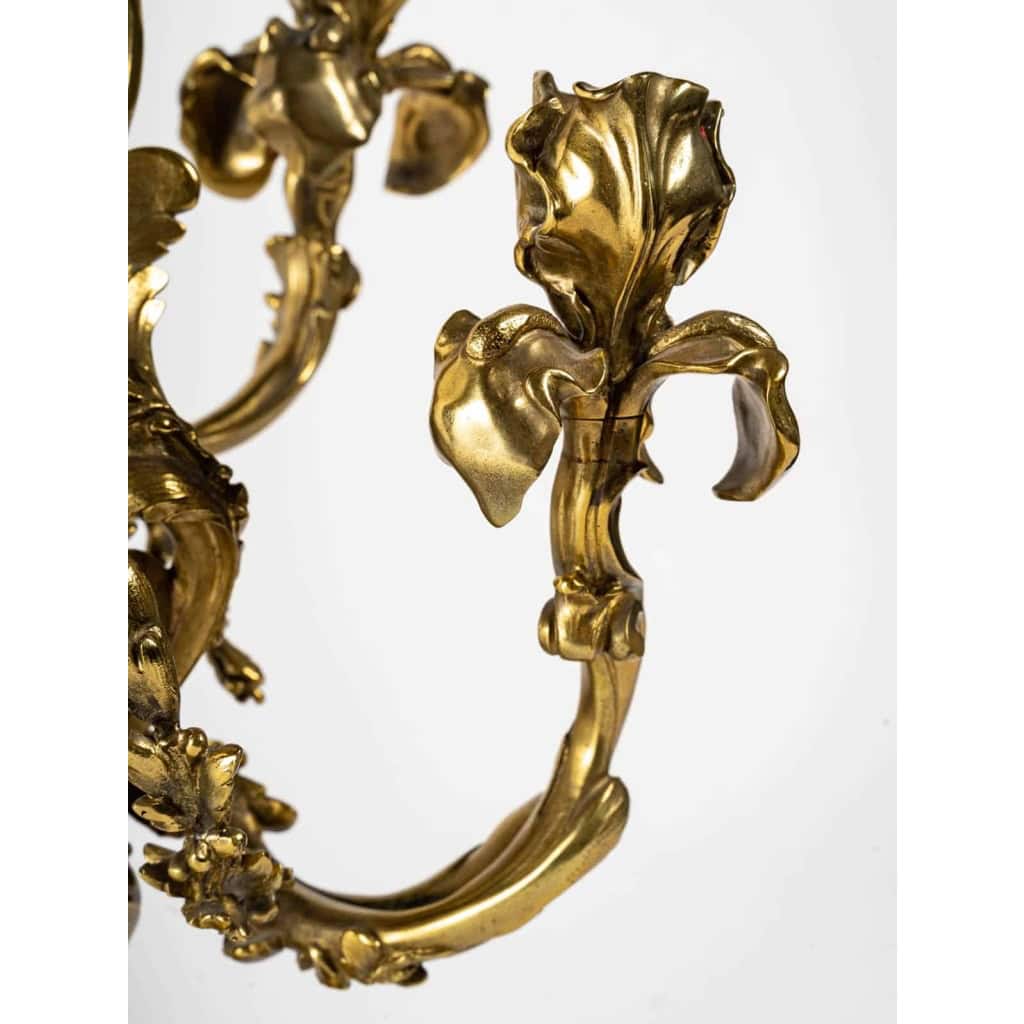 Paire de chandeliers en bronze Iris, style Art nouveau | Biron Paire de chandeliers en bronze Iris, style Art nouveau
