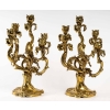 Paire de chandeliers en bronze Iris, style Art nouveau | Biron Paire de chandeliers en bronze Iris, style Art nouveau