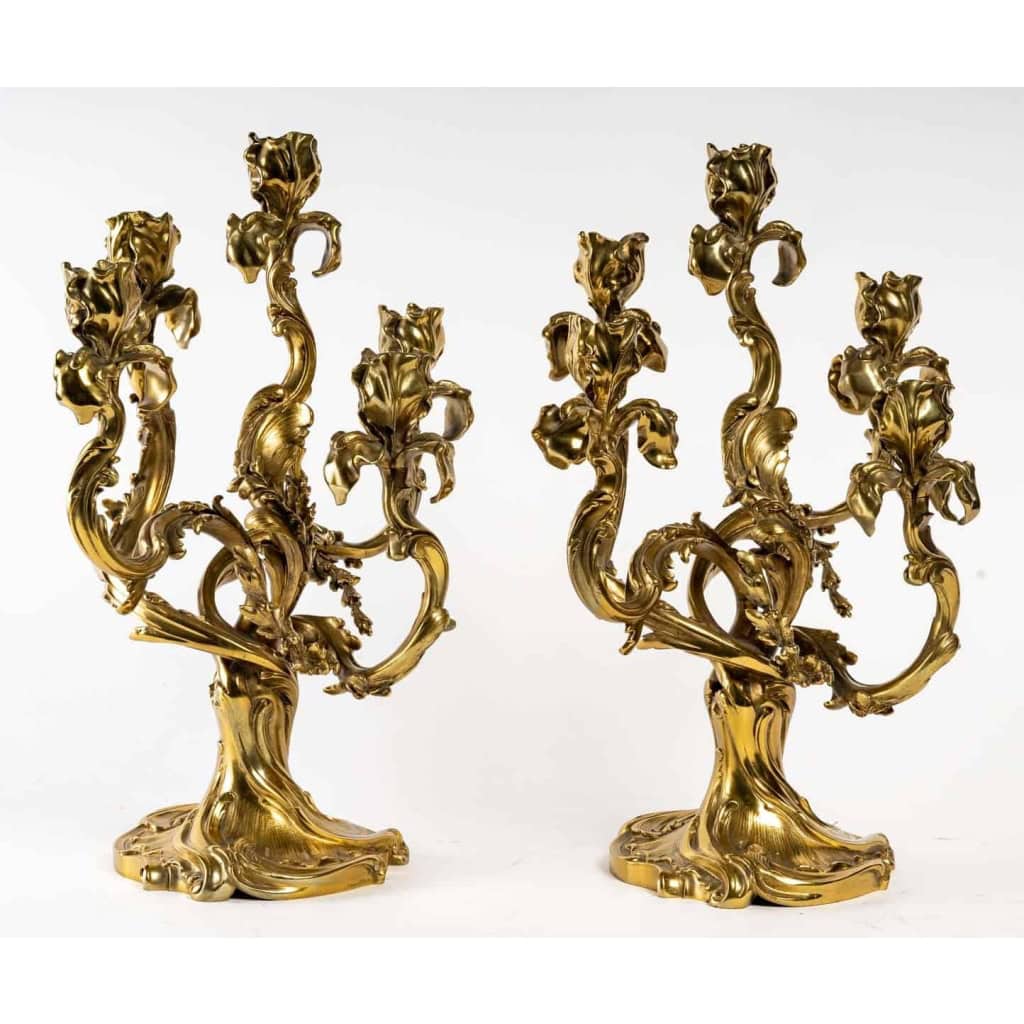 Paire de chandeliers en bronze Iris, style Art nouveau | Biron Paire de chandeliers en bronze Iris, style Art nouveau