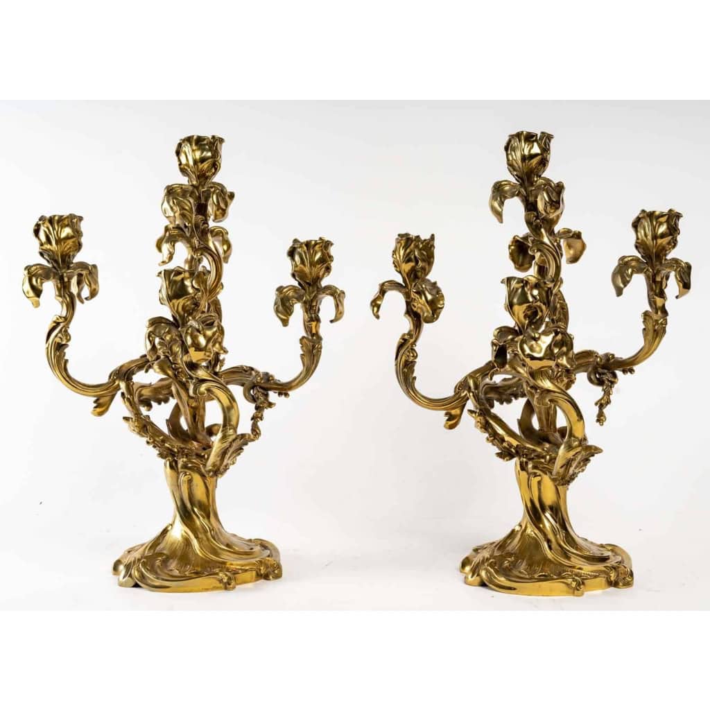 Paire de chandeliers en bronze Iris, style Art nouveau | Biron Paire de chandeliers en bronze Iris, style Art nouveau