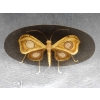 1970′ Table Basse Papillon Éclairante DLG de Duval Brasseur ou Isabelle Faure Pour Honoré de Paris 139 X 80 cm | Biron |||||||||
