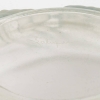 Coupe « Ondines » verre blanc patiné bleu de René LALIQUE 16
