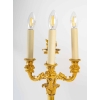 Paire de chandeliers en bronze doré du XIXème siècle | Biron Paire de chandeliers en bronze doré du XIXème siècle