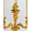 Paire de chandeliers en bronze doré du XIXème siècle | Biron Paire de chandeliers en bronze doré du XIXème siècle