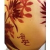 VASE GOURDE D EMILE GALLE