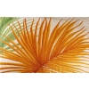 Coussin en lin « Tropiques » | Biron Coussin en lin "Tropiques"
