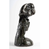 Le cacatoès, bronze d’Albéric COLLIN, XXème siècle | Biron Le cacatoès, bronze d'Albéric COLLIN, XXème siècle