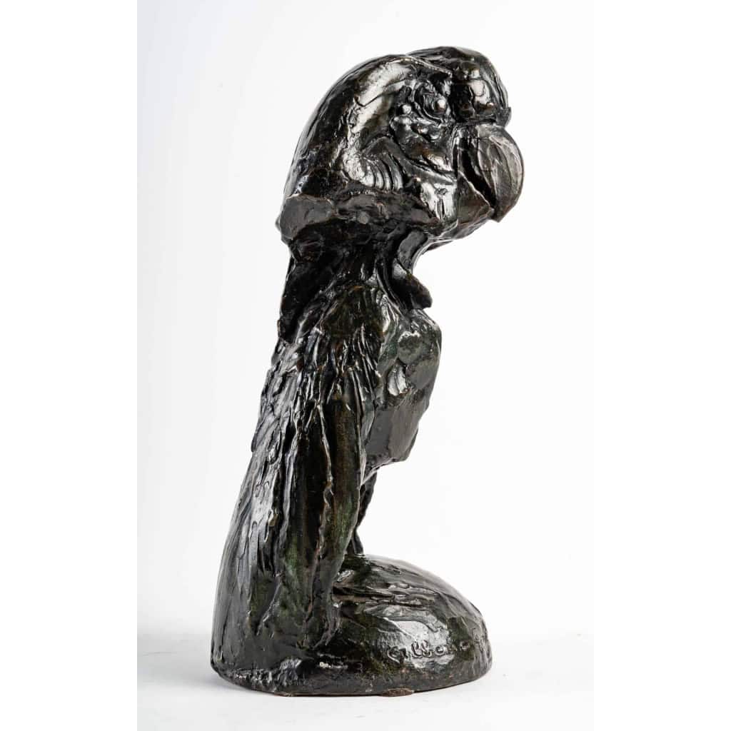 Le cacatoès, bronze d’Albéric COLLIN, XXème siècle | Biron Le cacatoès, bronze d'Albéric COLLIN, XXème siècle