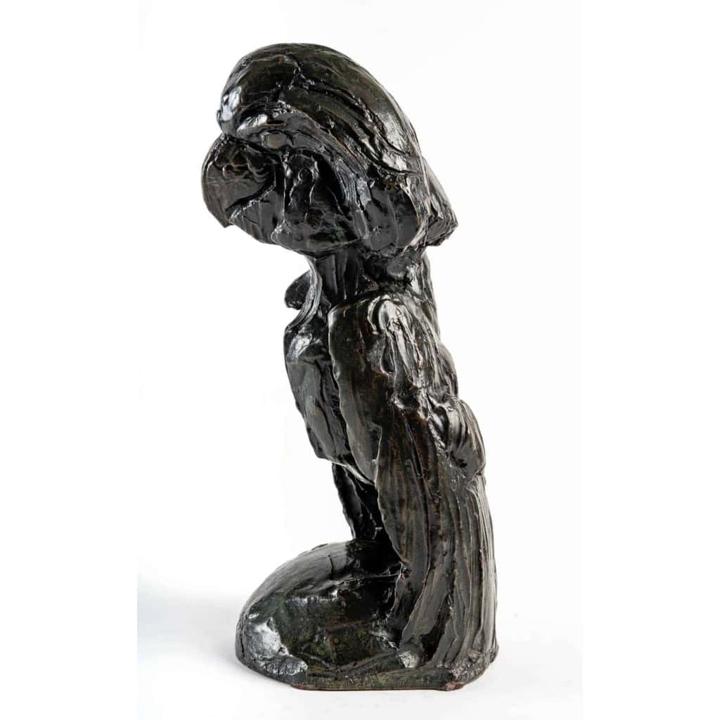 Le cacatoès, bronze d’Albéric COLLIN, XXème siècle | Biron Le cacatoès, bronze d'Albéric COLLIN, XXème siècle