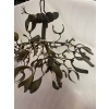 1900′ Lustre Boule de Gui en Bronze Art Nouveau a 3 Ampoules ∅ 44 cm H 37 cm Douilles En Forme De Tulipes | Biron 1900′ Lustre Boule de Gui en Bronze Art Nouveau a 3 Ampoules ∅ 44 cm H 37 cm Douilles En Forme De Tulipes