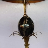 1950/70 Paire de Lampes en Bronze et Œuf en Marbre Portor Signée Charles | Biron 1950/70 Paire de Lampes en Bronze et Œuf en Marbre Portor Signée Charles