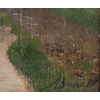 Paysage Huile sur toile, environs de Luzancy signé Alexandre Bouché (1838-1911), daté 1872 | Biron Paysage Huile sur toile, environs de Luzancy signé Alexandre Bouché (1838-1911), daté 1872