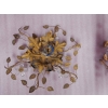 1970′ Paire de Plafonniers ou Appliques à Décor de Fleurs et Feuilles en Métal Doré Style Maison Baguès ou Banci | Biron 1970′ Paire de Plafonniers ou Appliques à Décor de Fleurs et Feuilles en Métal Doré Style Maison Baguès ou Banci