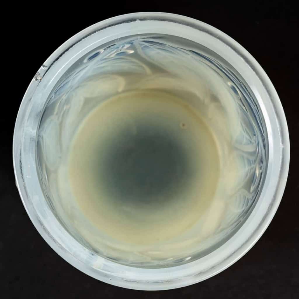 Vase « Laurier » Verre Opalescent de René LALIQUE | Biron Vase « Laurier » Verre Opalescent de René LALIQUE