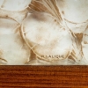 Coffret « Monnaie du Pape » Bois et Verre Blanc Patiné Sépia de René LALIQUE | Biron Coffret « Monnaie du Pape » Bois et Verre Blanc Patiné Sépia de René LALIQUE